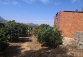 Parcel·la urbanitzable en venda a la España, Vilallonga, ref.: TR343820 foto