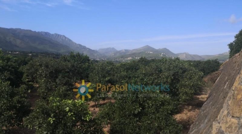 Valencia - Villalonga - 13500m2
