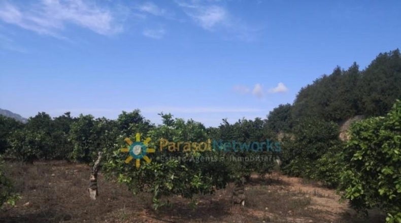 Valencia - Villalonga - 13500m2