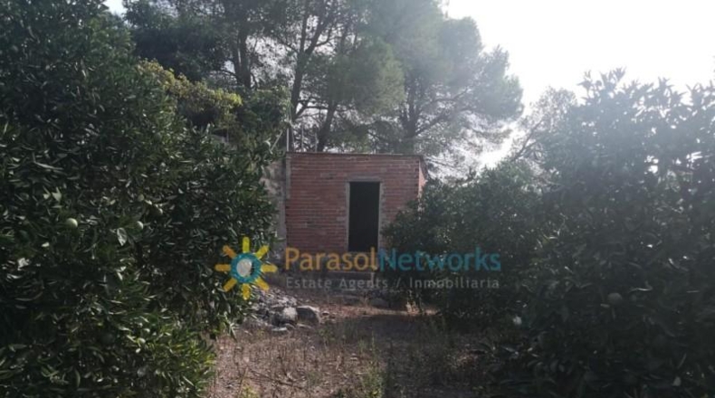 Valencia - Villalonga - 13500m2