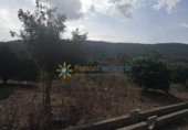 Parcel·la urbanitzable en venda a la España, Vilallonga, ref.: TR343820 foto