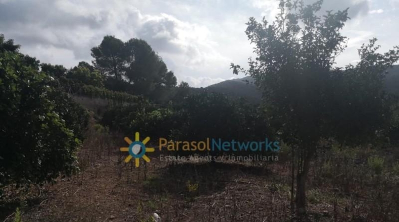 Valencia - Villalonga - 13500m2