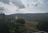 Parcel·la urbanitzable en venda a la España, Vilallonga, ref.: TR343820 foto