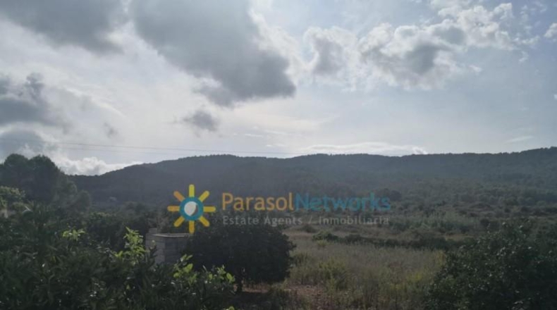 Valencia - Villalonga - 13500m2