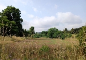 Non-developable land for sale on España, Castellar del Vallès, ref: TR248249 photo