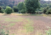 Non-developable land for sale on España, Castellar del Vallès, ref: TR248249 photo