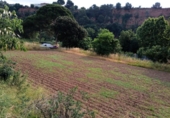 Non-developable land for sale on España, Castellar del Vallès, ref: TR248249 photo