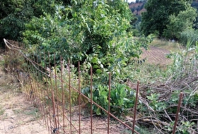 Foto 9