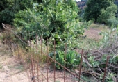 Non-developable land for sale on España, Castellar del Vallès, ref: TR248249 photo