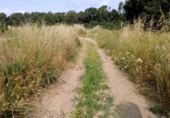 Non-developable land for sale on España, Castellar del Vallès, ref: TR248249 photo