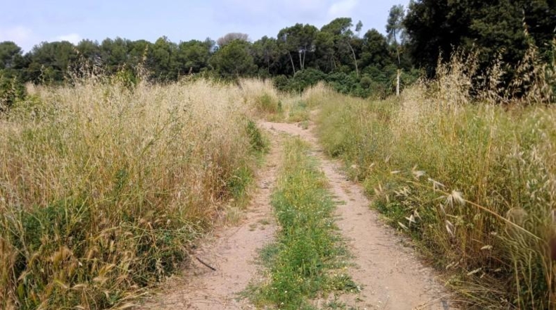 Barcelona - Castellar del Vallès - 3520m2