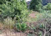 Non-developable land for sale on España, Castellar del Vallès, ref: TR248249 photo