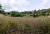 Non-developable land for sale on España, Castellar del Vallès, ref: TR248249 photo