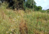 Non-developable land for sale on España, Castellar del Vallès, ref: TR248249 photo