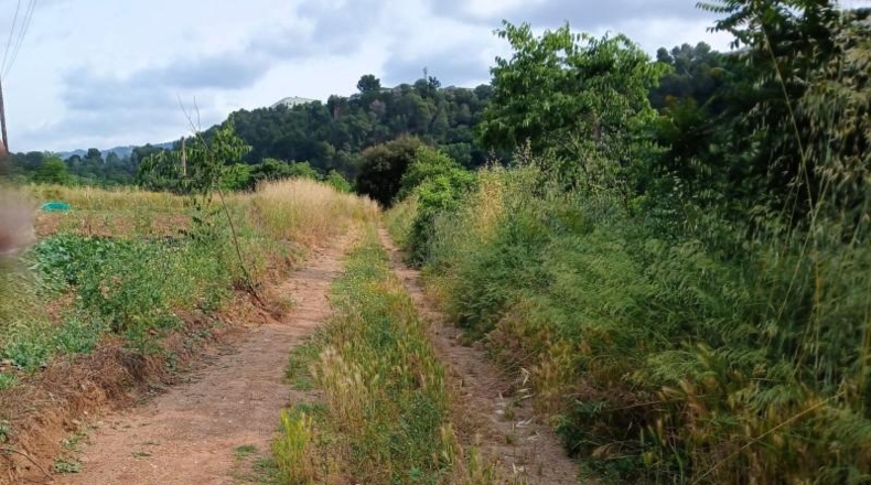 Barcelona - Castellar del Vallès - 3520m2