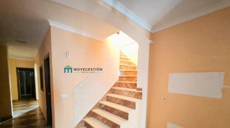 Cádiz - Algodonales - 122m2