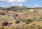 Городская земля под застройку на продажу у города Antequera Фото