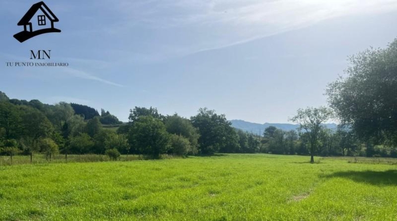 Cantabria - San Martín de Villafufre - 3849m2