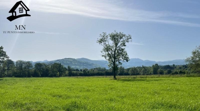 Cantabria - San Martín de Villafufre - 3849m2