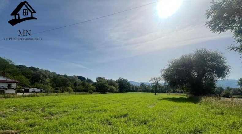 Cantabria - San Martín de Villafufre - 3849m2