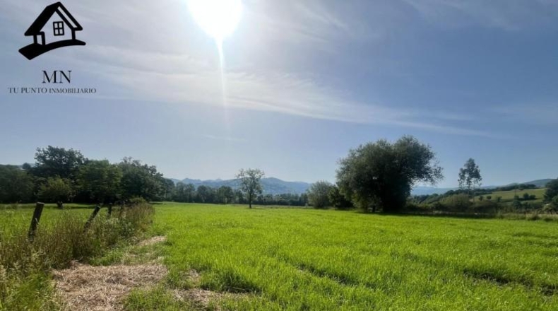 Cantabria - San Martín de Villafufre - 3849m2