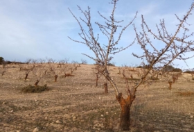 Alhama de Granada 42561&nbsp;m² 