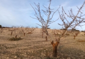 Terreny no urbanitzable en venda a la España, Alhama de Granada, ref.: TR126488 foto