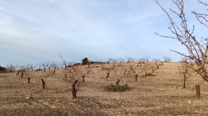 Granada - Agrón - 42561m2