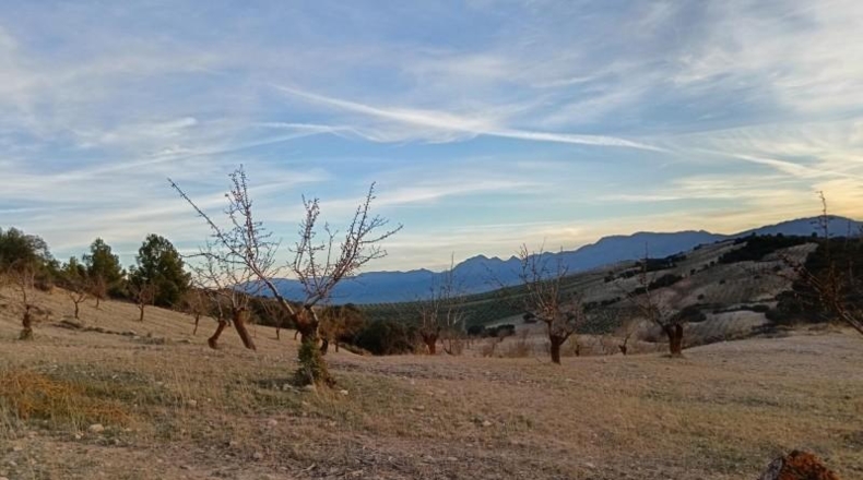 Granada - Agrón - 42561m2