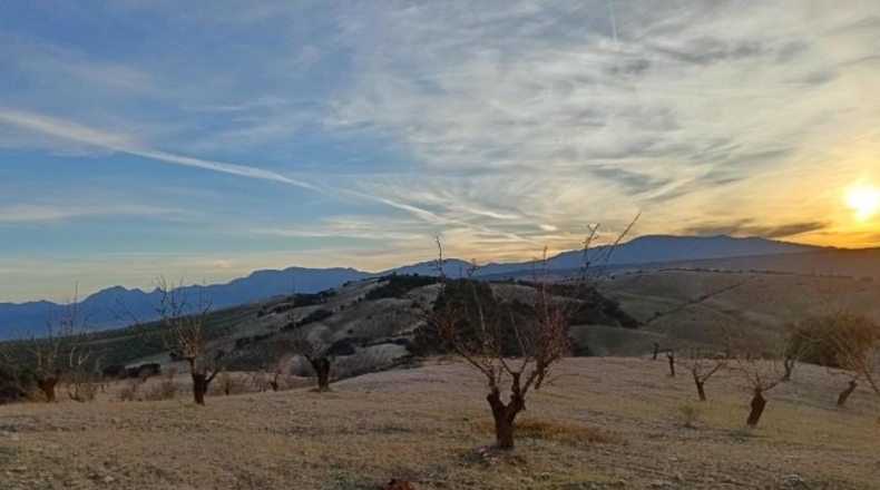 Granada - Agrón - 42561m2