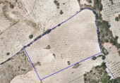 Terreny no urbanitzable en venda a la España, Alhama de Granada, ref.: TR126488 foto