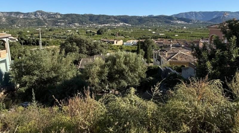 Alicante - Sanet y Negrals - 681m2