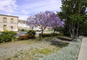 Sòl urbà en venda a la España, Huércal de Almería, ref.: TR335009 foto