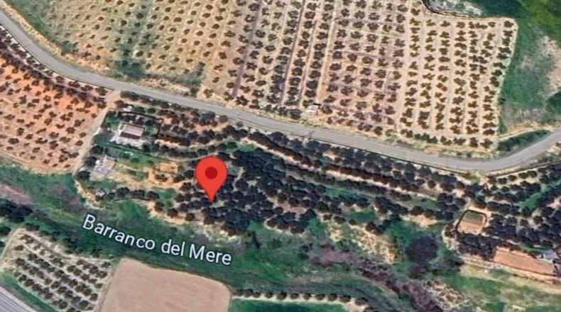 Granada - Chauchina - 3498m2