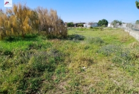 El Puerto de Santa María 1500&nbsp;m² 