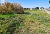 Non-developable land for sale on España, El Puerto de Santa María, ref: TR411134 photo