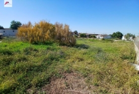El Puerto de Santa María 1500&nbsp;m² 