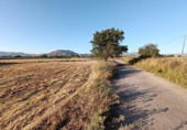 House with land for sale on España, Santa Fe, ref: TR304662 photo