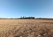 House with land for sale on España, Santa Fe, ref: TR304662 photo