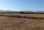 House with land for sale on España, Santa Fe, ref: TR304662 photo