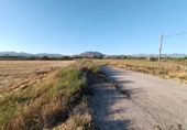 House with land for sale on España, Santa Fe, ref: TR304662 photo