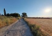 House with land for sale on España, Santa Fe, ref: TR304662 photo