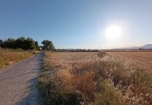 House with land for sale on España, Santa Fe, ref: TR304662 photo