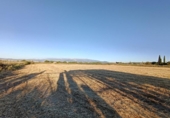 House with land for sale on España, Santa Fe, ref: TR304662 photo