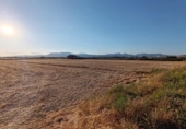 House with land for sale on España, Santa Fe, ref: TR304662 photo