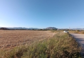 House with land for sale on España, Santa Fe, ref: TR304662 photo