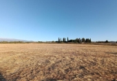House with land for sale on España, Santa Fe, ref: TR304662 photo