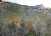 Parcel·la urbanitzable en venda a la España, La Zubia, ref.: TR238015 foto
