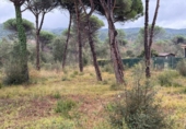 Sòl urbà en venda a la España, Vidreres, ref.: TR411146 foto