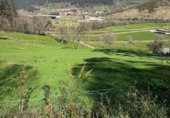 Non-developable land for sale on España, Socobio, ref: TR411147 photo